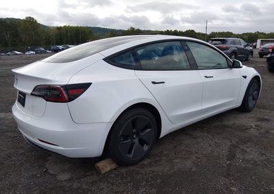 2023 Tesla Model 3 Rear-wheel Drive, Flood damage, Iaai lot 46182871, photo 4 of 11