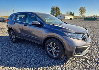 2022 Honda Cr-v Exl, uszkodzenie: Tył, Copart lot 74601076, zdjęcie 4 z 14