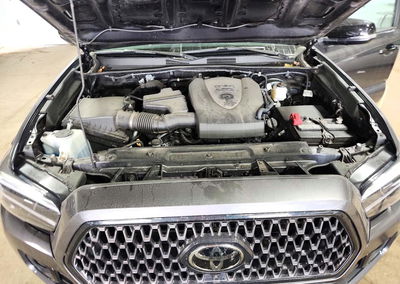 2023 Toyota Tacoma Limited, пошкодження: Задня частина, Copart лот 74583906, фото 11 з 13