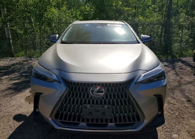 2025 Lexus Nx 350h Premium, uszkodzenie: Wandalizm, Copart lot 55905326, zdjęcie 5 z 13