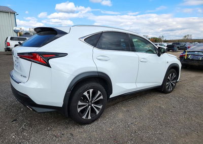 2019 Lexus Nx 300 Base, Hail damage, Copart lot 74218466, photo 3 of 13