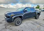 2024 Toyota Tacoma Trd Off-road, пошкодження: Град, Copart лот 63746496