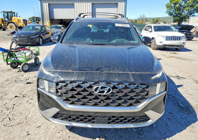 2023 Hyundai Santa Fe Calligraphy, uszkodzenie: Tył, Copart lot 71198666, zdjęcie 5 z 14