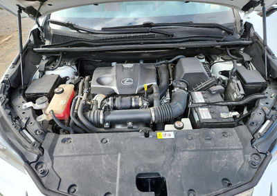 2019 Lexus Nx 300 Base, Hail damage, Copart lot 74218466, photo 12 of 13