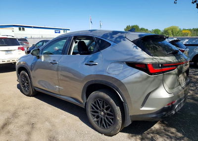 2025 Lexus Nx 350h Premium, uszkodzenie: Wandalizm, Copart lot 55905326, zdjęcie 2 z 13