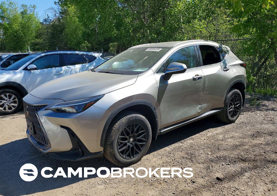 2025 Lexus Nx 350h Premium, uszkodzenie: Wandalizm, Copart lot 55905326