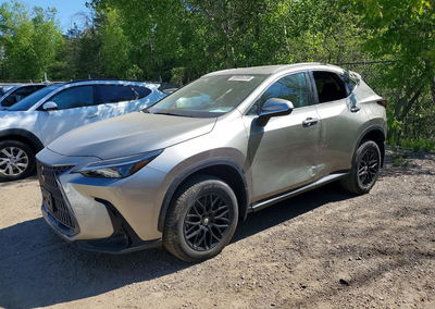2025 Lexus Nx 350h Premium, uszkodzenie: Wandalizm, Copart lot 55905326