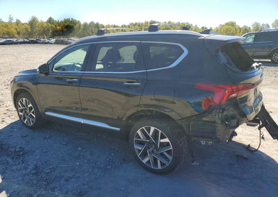 2023 Hyundai Santa Fe Calligraphy, uszkodzenie: Tył, Copart lot 71198666, zdjęcie 2 z 14