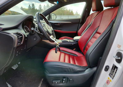 2019 Lexus Nx 300 Base, Hail damage, Copart lot 74218466, photo 7 of 13