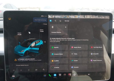 2022 Tesla Model 3 Rear-wheel Drive, Right Side damage, Iaai lot 46161250, photo 18 of 18