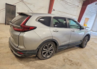 2020 Honda Cr-v Ex, uszkodzenie: Tył, Copart lot 68798096, zdjęcie 3 z 16