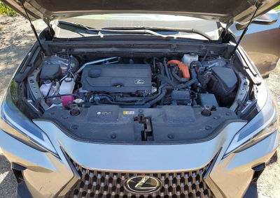 2025 Lexus Nx 350h Premium, uszkodzenie: Wandalizm, Copart lot 55905326, zdjęcie 12 z 13