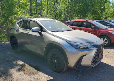 2025 Lexus Nx 350h Premium, uszkodzenie: Wandalizm, Copart lot 55905326, zdjęcie 4 z 13