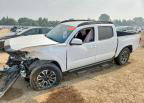 2023 Toyota Tacoma Sr V6, Front End damage, Copart lot 61539996