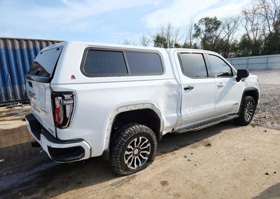 2021 Gmc Sierra K1500 At4, Side damage, Copart lot 73903186, photo 3 of 14