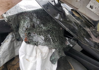 2023 Tesla Model Y, Rollover damage, Copart lot 48373675, photo 8 of 13