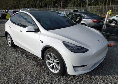 2020 Tesla Model Y Long Range Dual Motor All-wheel Drive, daño Bajos, Iaai lote 46347139