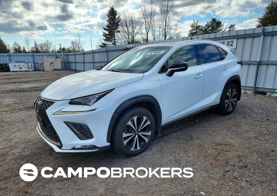 2019 Lexus Nx 300 Base, Hail damage, Copart lot 74218466