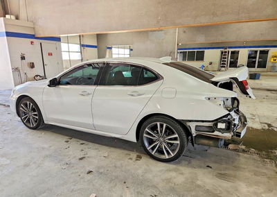 2019 Acura Tlx Technology, пошкодження: Задня частина, Copart лот 71556696, фото 2 з 13