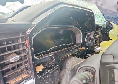 2022 Chevrolet Silverado K1500 Rst, Rollover damage, Copart lot 66003326, photo 9 of 13