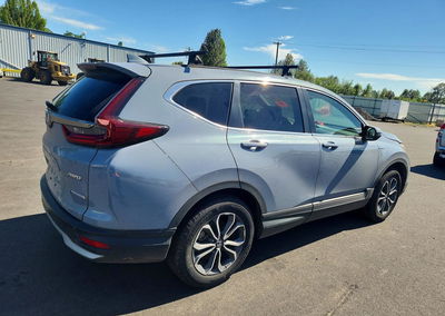 2022 Honda Cr-v Exl, uszkodzenie: Zagrożenie biologiczne/chemiczne, Copart lot 57408996, zdjęcie 3 z 12