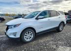 2019 Chevrolet Equinox Lt, uszkodzenie: Tył, Copart lot 74345116