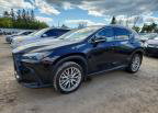 2022 Lexus Nx 350, daño Vandalismo, Copart lote 68190736