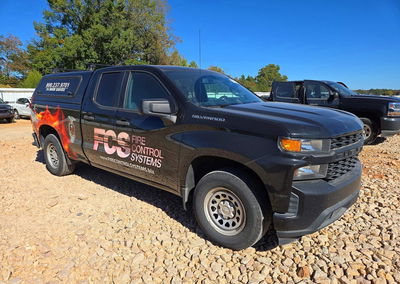2019 Chevrolet Silverado C1500, daño Abolladuras/rayones menores, Copart lote 74250096, foto 4 de 12