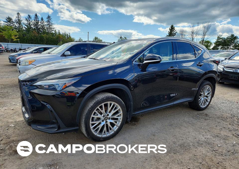 2022 Lexus Nx 350, uszkodzenie: Wandalizm, Copart lot 68190736