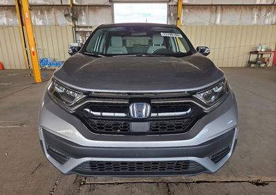 2020 Honda Cr-v Ex, daño Granizo, Copart lote 75190166, foto 5 de 13