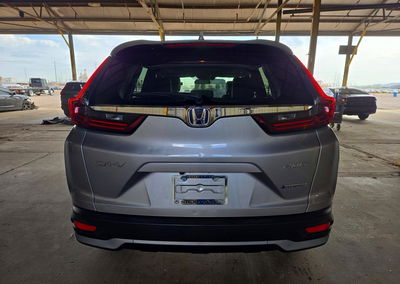 2020 Honda Cr-v Ex, daño Granizo, Copart lote 75190166, foto 6 de 13