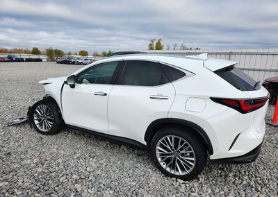 2026 Lexus Nx 350h Luxury, пошкодження: Передня частина, Copart лот 72580926, фото 2 з 12