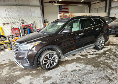 2019 Hyundai Santa Fe Xl Se, uszkodzenie: Grad, Copart lot 75089766