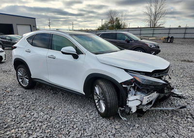 2026 Lexus Nx 350h Luxury, пошкодження: Передня частина, Copart лот 72580926, фото 4 з 12