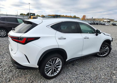 2026 Lexus Nx 350h Luxury, пошкодження: Передня частина, Copart лот 72580926, фото 3 з 12