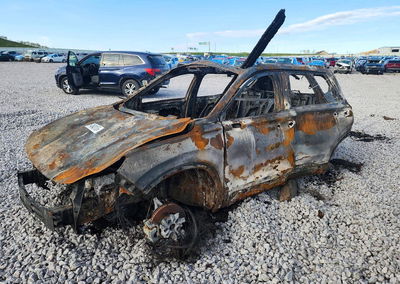 2019 Hyundai Santa Fe Ultimate 2.0t, daño Incendio, Copart lote 74843176, foto 1 de 12