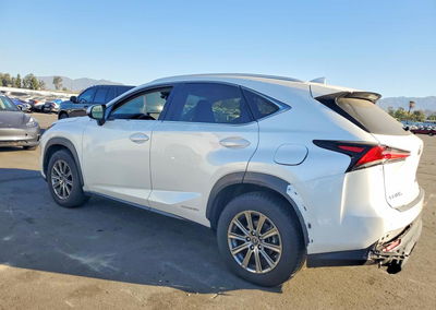 2019 Lexus Nx 300h, пошкодження: Задня частина, Copart лот 70854546, фото 2 з 13